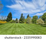 A view of a field full of grass and pine trees next to other trees that have blossomed in spring. 

Blue sky and white clouds can be seen above the trees.

(Niagara Falls, Ontario, Canada)