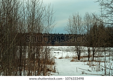 Similar – Image, Stock Photo Willow, trees, fields, blue sky & clouds