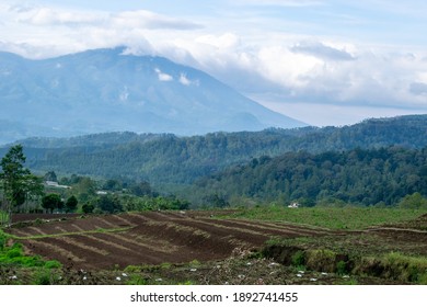view of field with mountain background. fields against the hillside background. hill with lots of trees