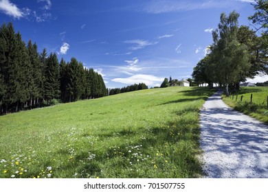 View Of Field Near The Locality Tauern In The Municipality Ossiach, District Feldkirchen, Carinthia, Austria