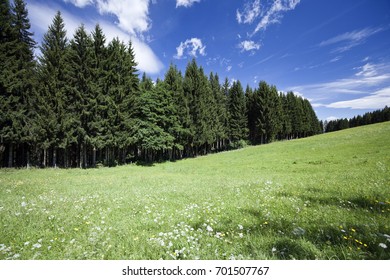 View Of Field Near The Locality Tauern In The Municipality Ossiach, District Feldkirchen, Carinthia, Austria