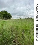 View of the Field, Trees and Cloudy Sky