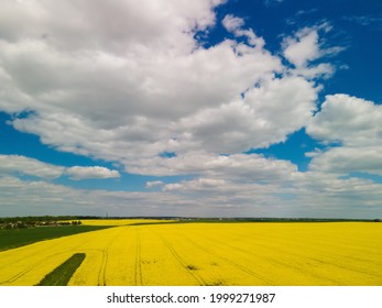 View of the fields and roads from the height of a flying drone. Bright yellow field with rapeseed flowers.