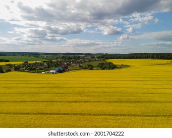 View of the fields and roads from the height of a flying drone. Bright yellow field with rapeseed flowers.