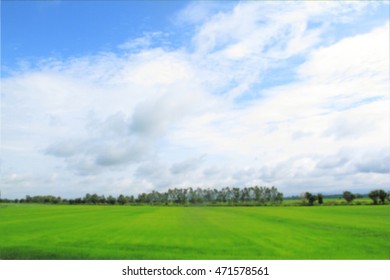 View of fields tree sky to show the freshness of nature. Blur style for background. Copy space