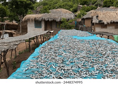 View of the fishing village of Zambo by Lake Malawi, near Monkey bay town. Malawi. Africa.