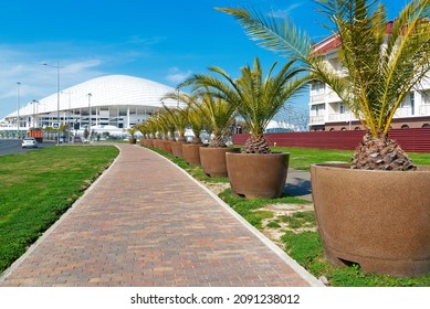 View Of Fisht Olympic Stadium, Sochi, Russia - March 28, 2020.