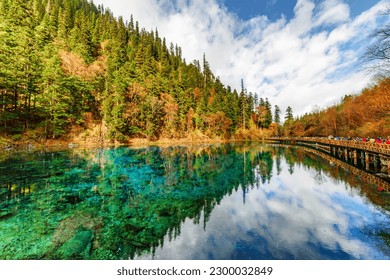 View of the Five Coloured Pool (the Colorful Pond) with azure crystal clear water among fall woods and evergreen forest in Jiuzhaigou nature reserve (Jiuzhai Valley National Park), China.