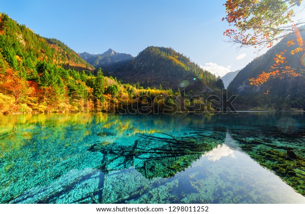 View Five Flower Lake Multicolored Lake Stock Photo Edit Now 1298011252