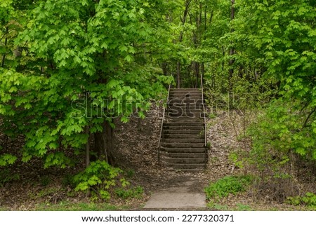 A view up a flight of concrete stairs up to a path in the woods