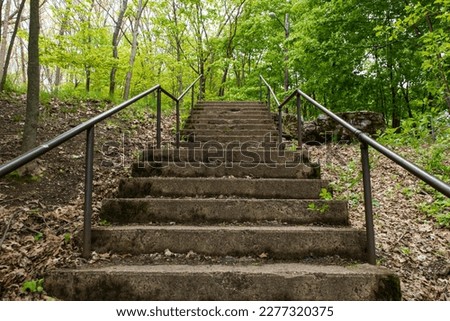 A view up a flight of concrete stairs up to a path in the woods