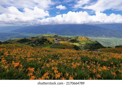 View from a flower farm of orange daylilies (Hemerocallis) on the hillside of Liushidan Mountain (六十石山), overlooking the East Rift Valley on a sunny summer day in Fuli Township, Hualien County, Taiwan