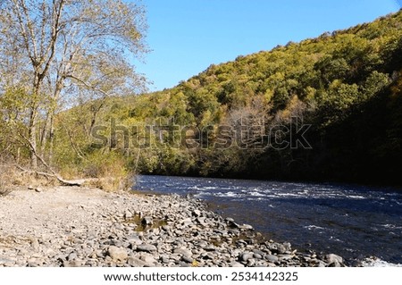 The view of the flowing river overlooking fall foliage at Lehigh Gorge State Park, Jim Thorpe, Pennsylvania, U.S.A
