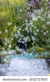 A view of flying bubbles in background of grass