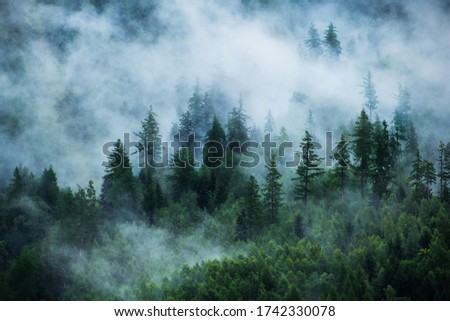 View of foggy mountains. Foggy mountain landscape.