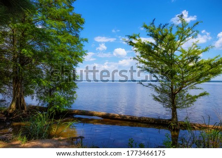View fom the banks of the Tennessee River along the Natchez Trace parkway in Mississippi.