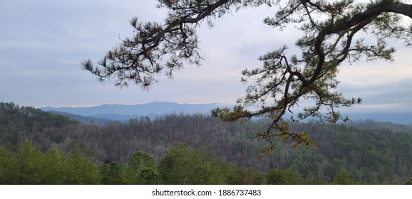 View From The Foothills Parkway