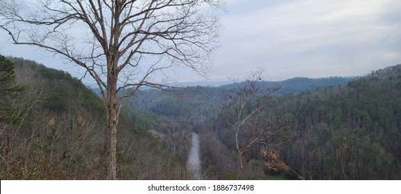 View From The Foothills Parkway