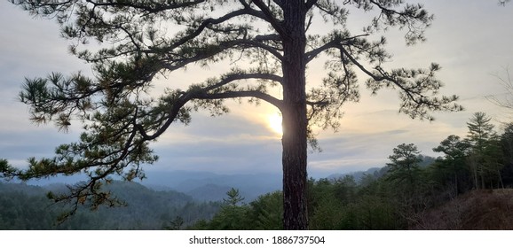 View From The Foothills Parkway