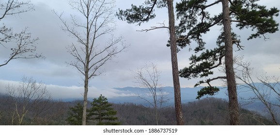 View From The Foothills Parkway