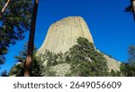 View from the forest base of Devils Tower showing towering vertical columns under a vivid blue sky