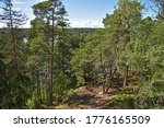 View of the forest and the bay from a hill on the island of Linlo in southern Finland.