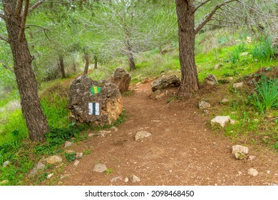 View Of A Forest Footpath In The Lower Judaean Mountains, Central Israel