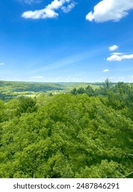 view of forest from up high 