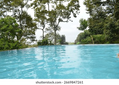 View from a forest infinity pool, surrounding by a lot of trees