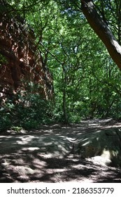 View Of Forest Path With Sandstone Cliff And Mottled Light Through The Canopy.