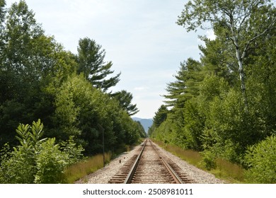 View from the forest railroad tracks - Powered by Shutterstock