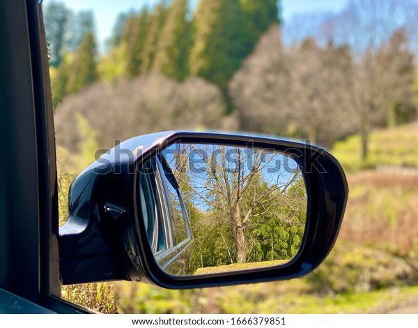 View of the forest reflected in the side mirror of\
the car.