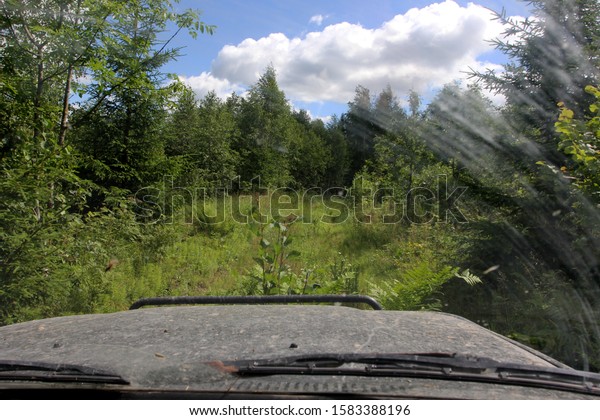 View of forest\
road through dirty car\
glass
