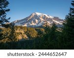 View of Forest and Snow Capped Mountain at Mount Rainier National Park in Washington State, USA