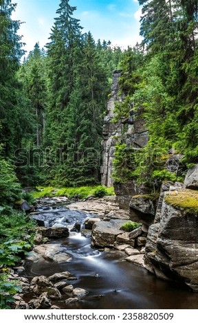 View of the forest stream. Forest stream. River stream in forest. Forest stream view