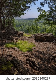 A view of forest through the cedar trees from the top of the Niagara Escarpment. A sunny day during the summer on the Bruce Trail