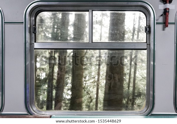 View of forest through\
train window