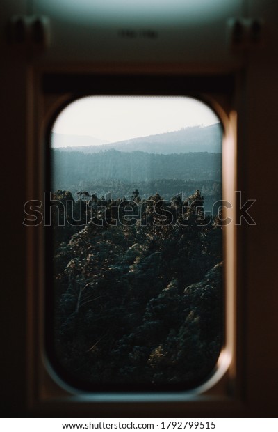 A view of the\
forest from the train window