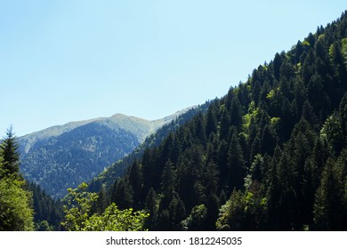 View of the forested mountains
