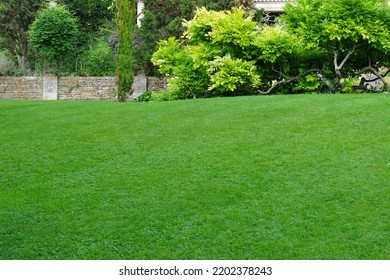 View of a freshly mowed lawn in a beautiful green garden