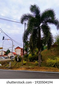 View In Front Junction In Ulu Tebrau Malaysia 