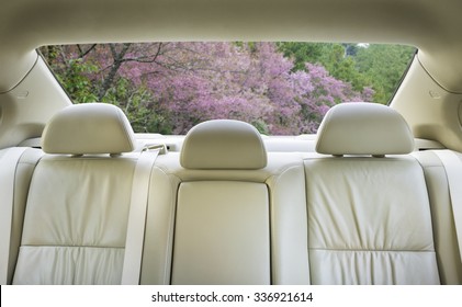 The View From The Front Overlooking The Back Seat Of The Car.