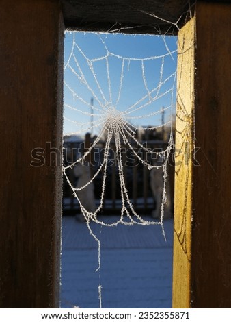 A view of a frozen spider web between two fence spindles during winter time.