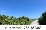 View of Fugui Cape Park, Simen, Taiwan - 26 August 2024 (sunny blue sky)