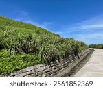 View of Fugui Cape Park, Simen, Taiwan - 26 August 2024 (sunny blue sky)