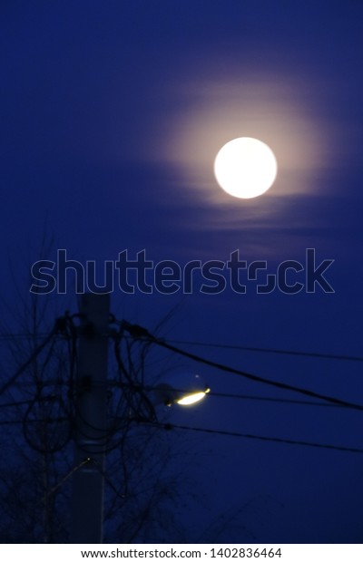 The view of the full moon,\
the foggy night sky, a lamp hanging on a pole and a tree without\
leaves