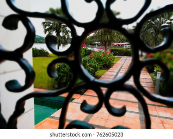 View of the garden, close up between the gate