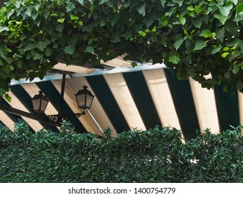 View Of A Garden With A Pole Marquee And Black Cast Iron Lanterns. Green Plants In The Foreground And The Striped Pattern Roof Of The Pole Marquee And Black Cast Iron Lanterns In The Background.