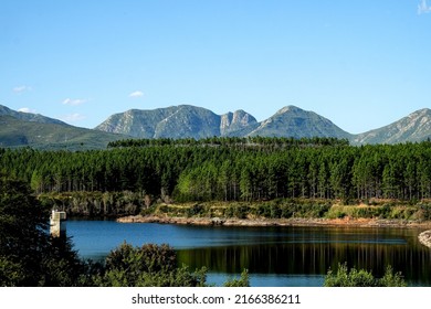 View of Garden Route Dam with forest trees and dam appearing the foreground and Outeniqua Mountain Range appearing in the background. - Shutterstock ID 2166386211