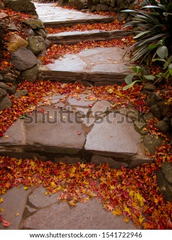 A view of garden stone steps covered by autumn leaves. The steps are made of wide stone tiles. Staircases can be used to symbolize achievements, a link of heavens and earth or spiritual enlightenment